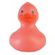 Colorful Rubber Duck