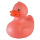 Colorful Rubber Duck