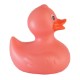 Colorful Rubber Duck