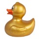 Colorful Rubber Duck