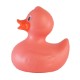 Colorful Rubber Duck