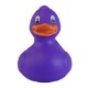 Colorful Rubber Duck