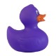 Colorful Rubber Duck