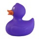 Colorful Rubber Duck