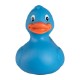 Colorful Rubber Duck