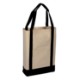 Colored Canvas Two Tone Deluxe Tote Bag