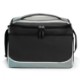 Roosevelt Colored Cooler Bag