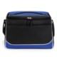 Roosevelt Colored Cooler Bag