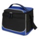 Washington Colored Cooler Bag