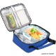 Dual Handle Polyester Lunch Bag