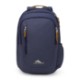 High Sierra® Haiden Polyester Laptop Backpack