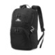 High Sierra® Swoop SG Polyester Laptop Backpack