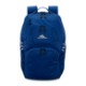 High Sierra® Swoop SG Polyester Laptop Backpack