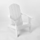 Adirondack Chair