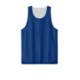 Sport-Tek® PosiCharge® Reversible Mesh Unisex Tank