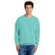Comfort Colors® Lightweight Cotton Crewneck Unisex Sweatshirt