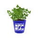 Recycled Promo Plant Pot