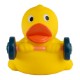 Weight Lifter Rubber Duck