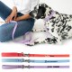 Springer Dog Leash, 5Ft.