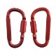 Best Buddy Tools® D-Ring Carabiner w/ Lock
