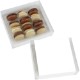 Campfire Macaron Box, 12 Pack