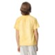 Thumbnail Photo 4 Comfort Colors® Heavyweight Cotton Color Blast Youth Tee
