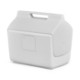 Igloo® Kooltunes® 14 Qt Cooler