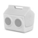 Igloo® Kooltunes® 14 Qt Cooler