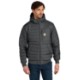 Carhartt® Gilliam Insulated Nylon Hooded Men's Jacket
