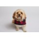 Port Authority® Pet Polyester Microfleece Jacket