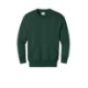 Port & Company® Core Fleece Crewneck Pocket Youth Sweatshirt