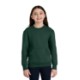 Port & Company® Core Fleece Crewneck Pocket Youth Sweatshirt