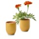 Modern Sprout® Garden Vibes Candle Marigold Planter