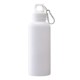 Brio Water Bottle w/ Carabiner, 20 oz.