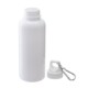Brio Water Bottle w/ Carabiner, 20 oz.