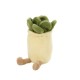 Chelsea Teddy Bear™ Zensies Succulent Plush, 7"