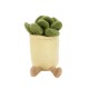 Chelsea Teddy Bear™ Zensies Succulent Plush, 7"