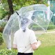 Panorama Auto-Open Clear Umbrella, 46" Arc