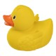 Natural Rubber Duck