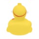 Healthcare Doctor Rubber Duck
