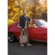Heritage Supply Co.™ Legacy rPET & Canvas Tote