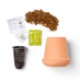Modern Sprout® Modern Terracotta Grow Kit - Aloe