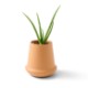 Modern Sprout® Modern Terracotta Grow Kit - Aloe