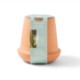 Modern Sprout® Modern Terracotta Grow Kit - Aloe