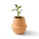 Modern Sprout® Modern Terracotta Grow Kit - Bonsai