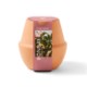 Modern Sprout® Modern Terracotta Grow Kit - Bonsai
