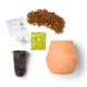 Modern Sprout® Modern Terracotta Grow Kit - Bonsai