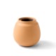 Modern Sprout® Modern Terracotta Grow Kit - Cactus