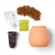 Modern Sprout® Modern Terracotta Grow Kit - Cactus