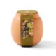 Modern Sprout® Modern Terracotta Grow Kit - Cactus